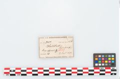 Etikett zu Kugelkopfnadel (NHMW-PRAE-003451)